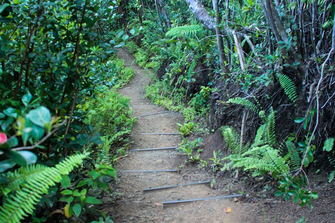 Kualoa Ranch: Jungle Expedition Tour - Moliʻi Pond and the older story of the ranch