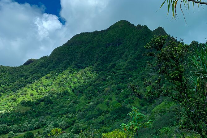 Kualoa Ranch: Jungle Expedition Tour - Movie scenery, with one important warning