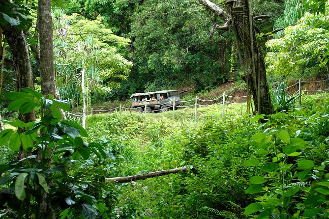 Kualoa Ranch: Jungle Expedition Tour - What the Pinzgauer ride feels like