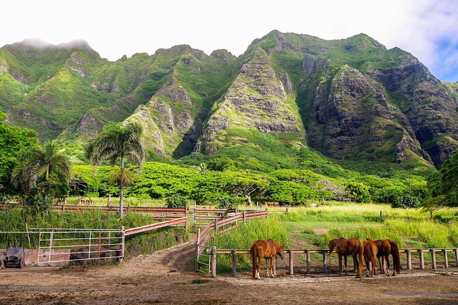 Kualoa Ranch: Novice E-Bike - Key details before you book