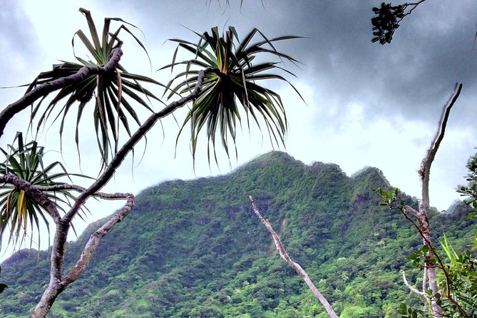 Kualoa Ranch: Novice E-Bike - Who should choose this tour?