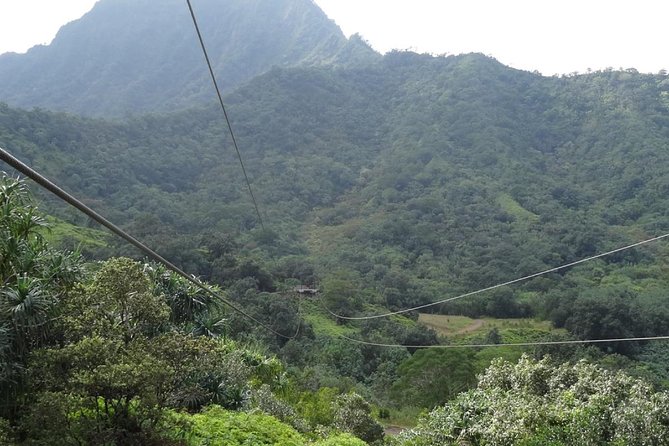 Kualoa Ranch - Zipline Tour - Two bridges and short walks among native plants