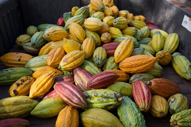 Lahaina: Maui Ku'ia Estate Guided Cacao Farm Tour and Tasting - What you taste, and what you do not