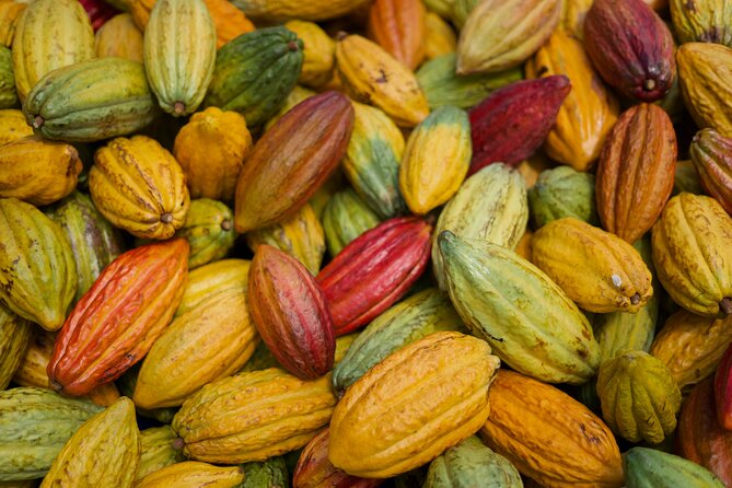 Lahaina: Maui Ku'ia Estate Guided Cacao Farm Tour and Tasting - Guide quality and group size