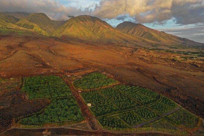 Lahaina: Maui Ku'ia Estate Guided Cacao Farm Tour and Tasting - Is $99.48 a fair price?
