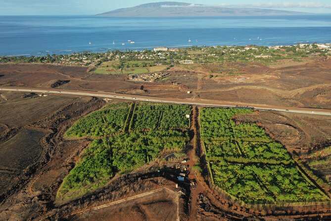 Lahaina: Maui Ku'ia Estate Guided Cacao Farm Tour and Tasting - Riding from Lahaina to the 20-acre cacao estate