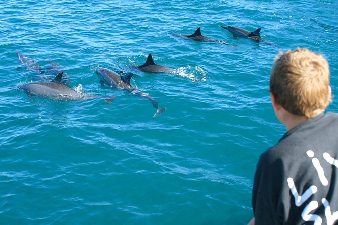 Lanai Snorkel and Dolphin Watch from Maalaea - The five-hour trip to Lanai