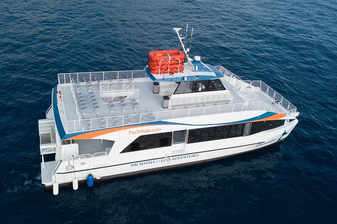 Lanai Snorkel and Dolphin Watch from Maalaea - Comfort for families and first-time snorkelers