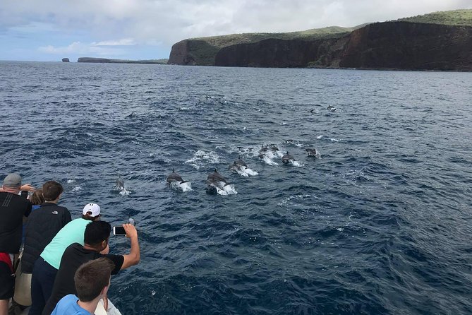 Lanai Snorkel and Dolphin Watch from Maalaea - Watching dolphins in open water