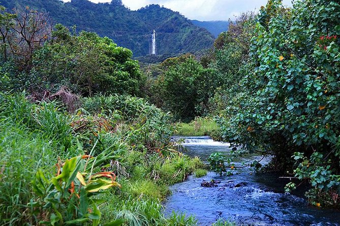 Luxury Helicopter Experience with Hana Rainforest Landing - From Kahului Airport to Maui’s North Coast