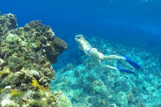 Luxury Kona Coast Snorkel Tour Including Lunch - Breakfast, lunch, and a cash bar
