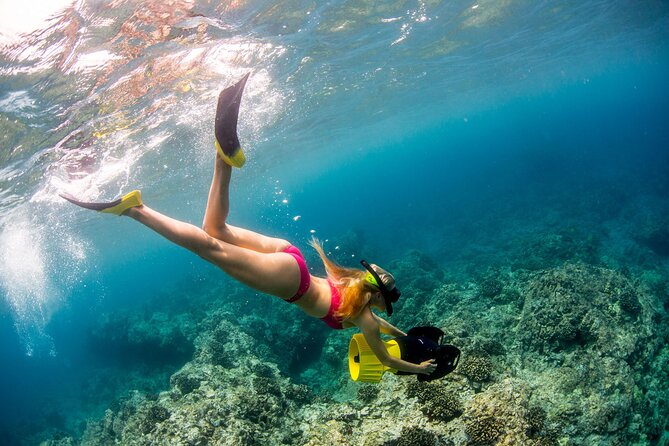 Luxury Kona Coast Snorkel Tour Including Lunch - Equipment and comfort details that matter