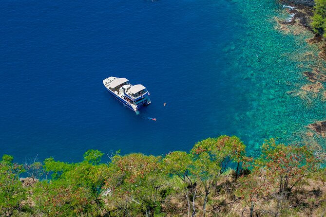 Luxury Kona Coast Snorkel Tour Including Lunch - Wildlife, with sensible expectations