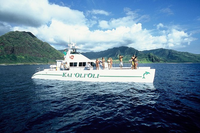Luxury Snorkel Cruise, Local Buffet with Whale & Dolphin Watch - Snorkeling Over Coral and Tropical Fish