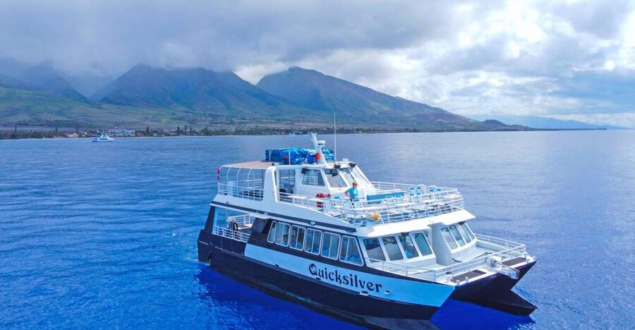 Ma'alaea Harbor: Whale Watching Tour Aboard Power Catamaran - Why Maalaea Bay is a strong place to watch whales