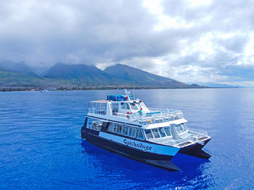 Ma'alaea Harbor: Whale Watching Tour Aboard Power Catamaran - Boarding at Maalaea Harbor