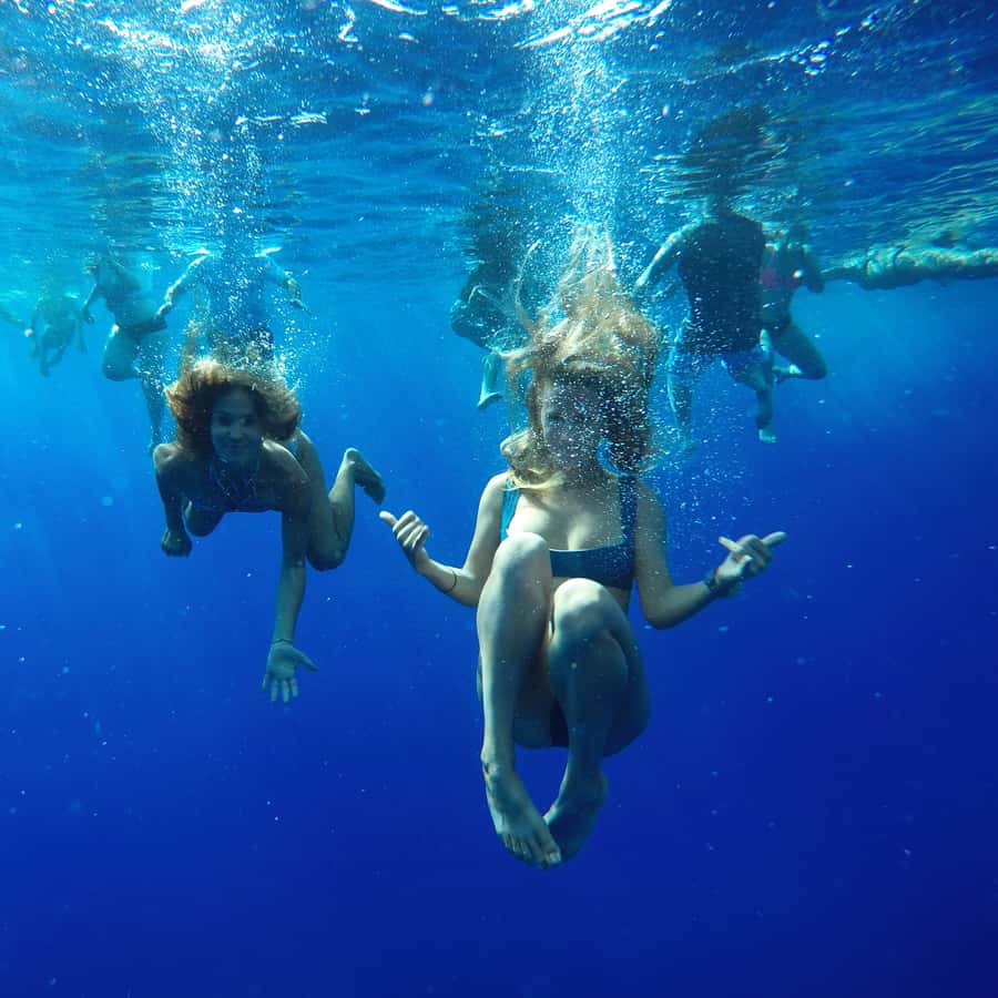Maalaea: West Maui Snorkeling & Sailing Day Trip with Lunch - The quick take