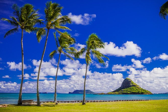 Majestic Circle Island Tour with Lunch - Waimea Valley is the day’s main natural attraction