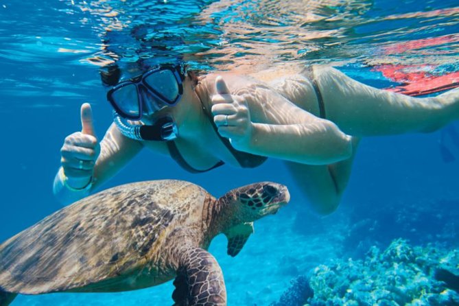 Makena Turtle Town Eco Adventure in Maui - Why Turtle Town Is Worth the Early Start