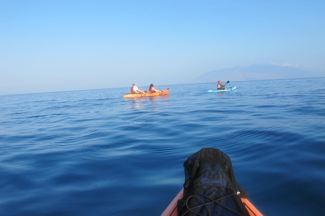 Makena Turtle Town Eco Adventure in Maui - When Whales Replace Snorkeling