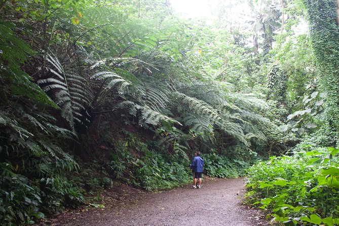Manoa Falls Rainforest & Self-Guided Hike - Who should take this hike?