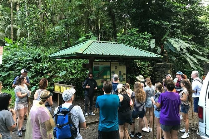 Manoa Falls Rainforest & Self-Guided Hike - Getting from Waikiki to the trailhead