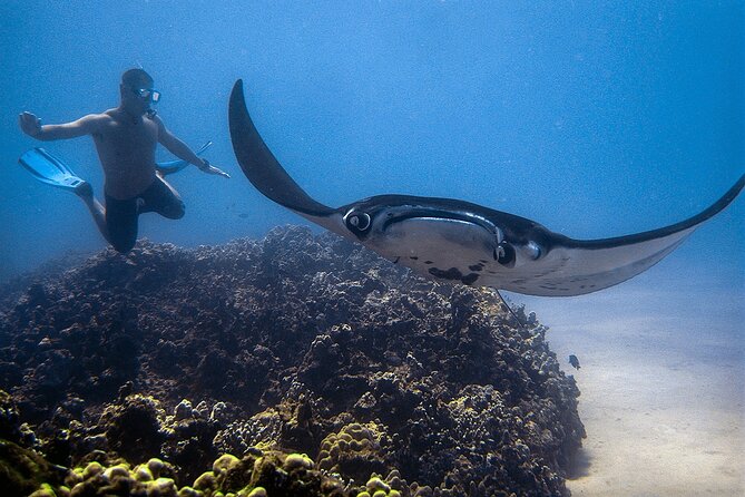 Manta Magic: Small-Group Manta Ray Night Snorkel in Kailua Kona - Is $145 a fair price?