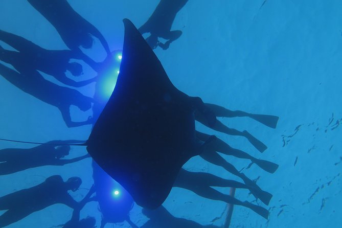 Manta Magic: Small-Group Manta Ray Night Snorkel in Kailua Kona - Timing, cancellations, and practical limits