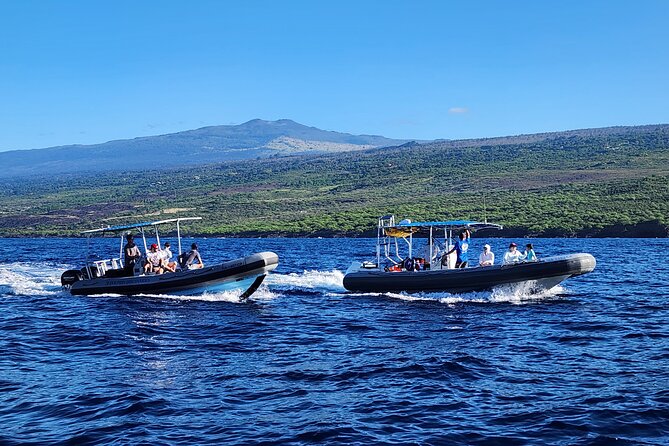 Manta Ray Night Snorkel at Kona, Big Island - How crowded and social the experience feels