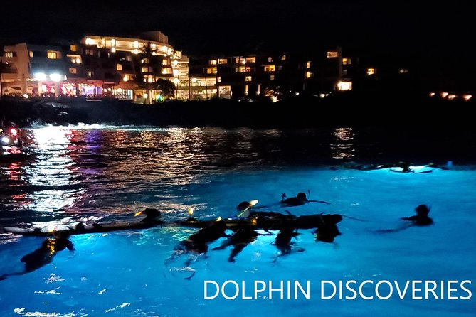 Manta Ray Night Snorkel at Kona, Big Island - Price and what the $44 includes