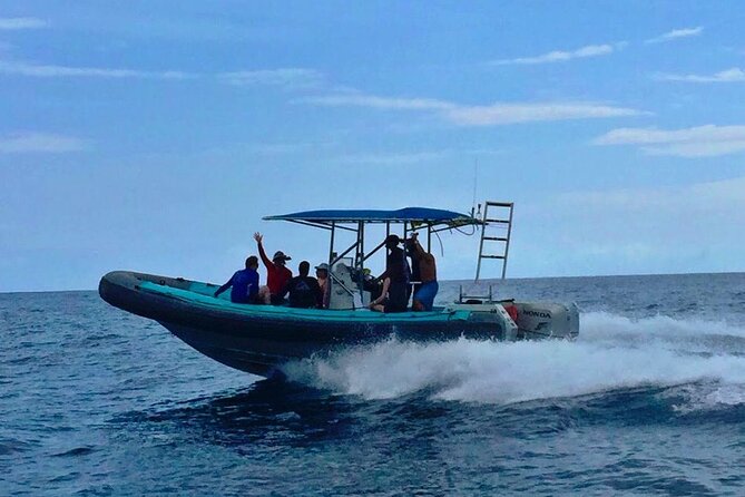 Manta Ray Night Snorkel at Kona, Big Island - Who should book this manta snorkel