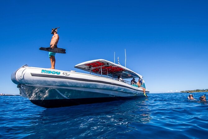 Manta Ray Night Snorkel from Kona — Small Group - What is included and what you should pack