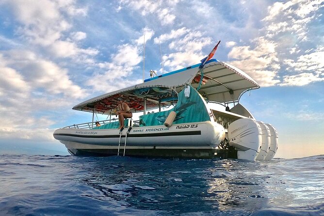 Manta Ray Night Snorkel from Kona — Small Group - Booking details and cancellation terms