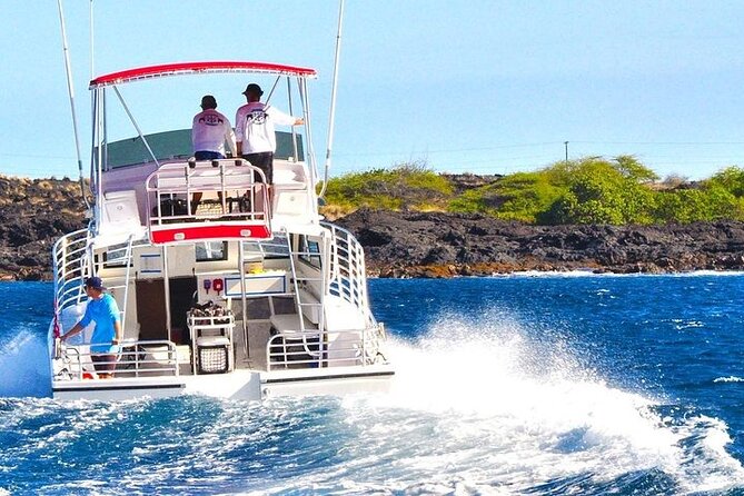 Manta Ray Night Snorkel in Kona - What the manta encounter feels like