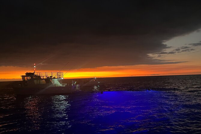 Manta Ray Night Snorkel in Kona - Boat comfort, group size, and the crowded-boat question
