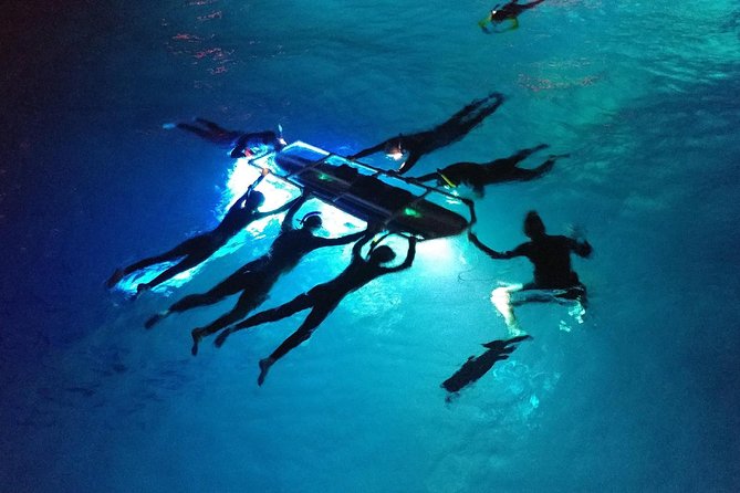 Manta Ray Night Snorkel Kona - Coral Reef Snorkel Adventures - Is the small group really six people?