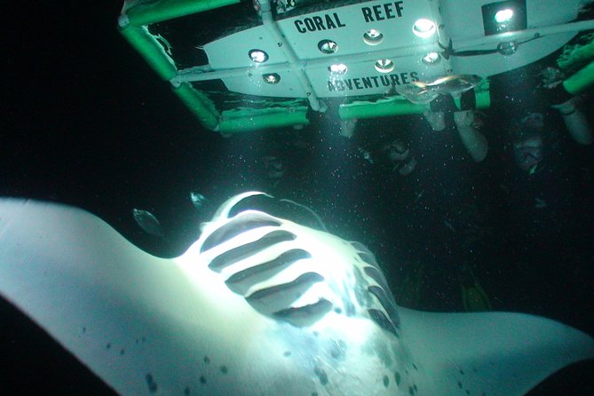 Manta Ray Night Snorkel Kona - Coral Reef Snorkel Adventures - The fast ride into the night
