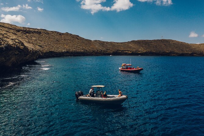 Maui: 2-Hour Molokini Snorkel Trip - Equipment, instruction, and what you need to bring