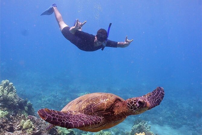 Maui Afternoon Snorkel Aboard Malolo to Molokini or Coral Gardens - A three-hour afternoon on the Malolo