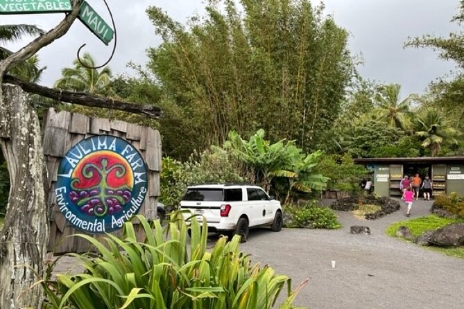 Maui by Storm: Epic Private Luxury Road to Hana Adventure Tour - Ho‘okipa and the final sea turtle stop