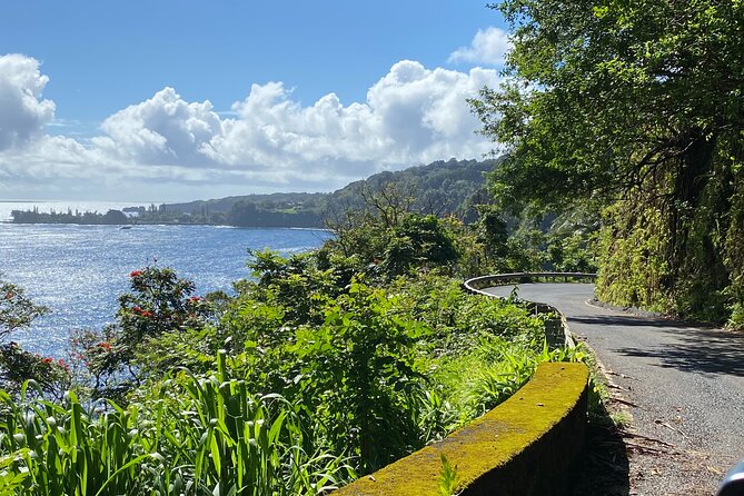 Maui by Storm: Epic Private Luxury Road to Hana Adventure Tour - Comfort, motion sickness, and what to pack