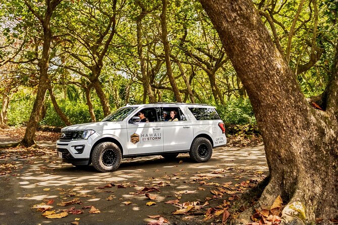 Maui by Storm: Epic Private Luxury Road to Hana Adventure Tour - Who should book this private tour