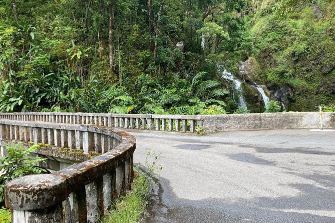 Maui by Storm: Epic Private Luxury Road to Hana Adventure Tour - Should you book Maui by Storm?