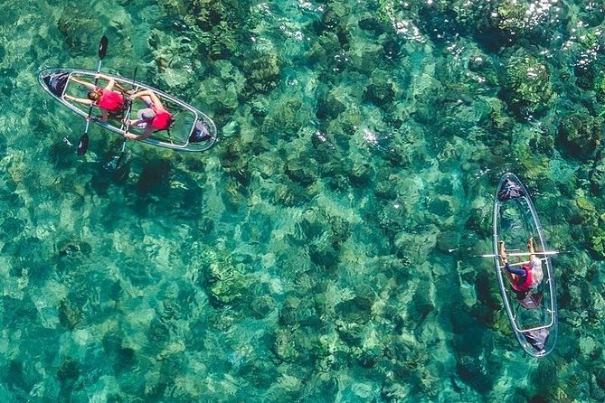 Maui Clear Kayak and Snorkel Tour: Swim with turtles (Makena) - Key points to know before you book