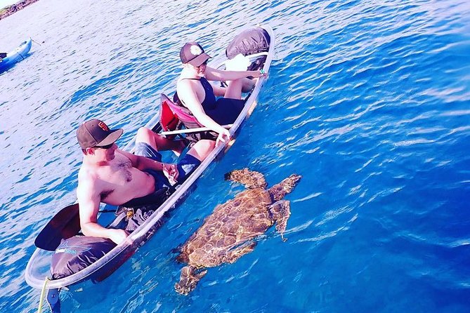 Maui Clear Kayak and Snorkel Tour: Swim with turtles (Makena) - Guides who make the difference