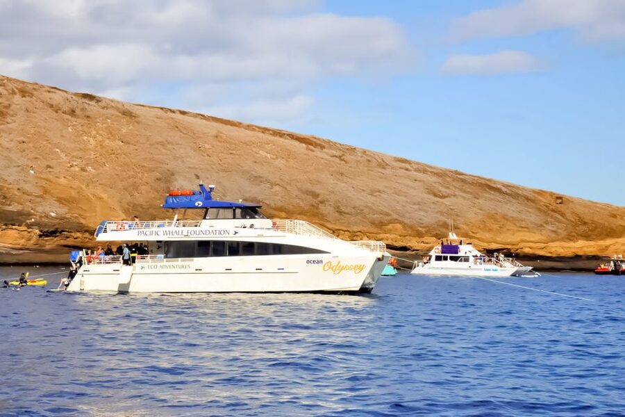 Maui: Eco-Friendly Molokini & Turtle Town Tour with Meals - Booking advice and final call