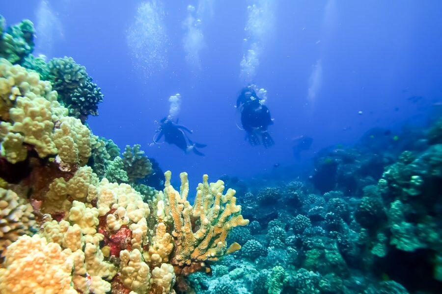 Maui: Eco-Friendly Molokini & Turtle Town Tour with Meals - Meals, drinks, and life aboard the boat