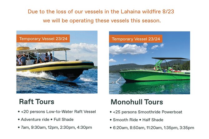 Maui Eco-Raft Tour: Eye-Level Whale or Dolphin Watching - Lahaina - December through April: the humpback season