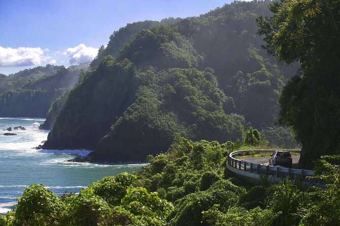 Maui: Famous Road to Hana Waterfalls and Lunch by Mercedes Van - Road to Hāna highlights at a glance