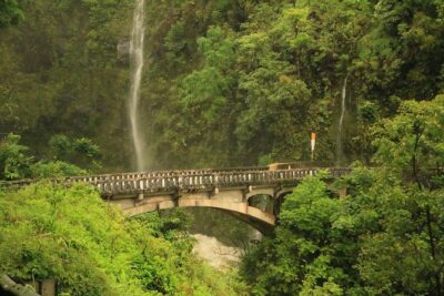 Famous Road to Hana Waterfalls and Lunch by Mercedes Van